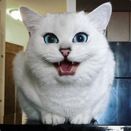 ΞMijoooΞ 最好