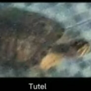 Tutel