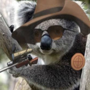Sniper koala