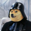 Darth Doge