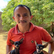 lisoPEEK Awpadas galinhas