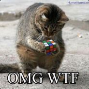 Hawkmoths Are Coming