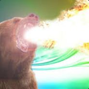 The Firebear