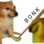 Bonk