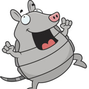 ArMaDilLo
