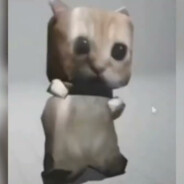 gatito bailarin