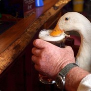 ПЬЯНЫЙ ГУСЬ