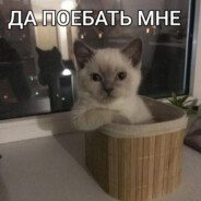Не женат