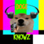 DogeKnowz