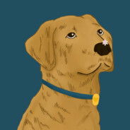 Labrador