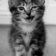 qq