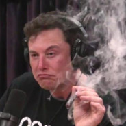 StinginRodger6