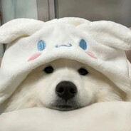 miffy