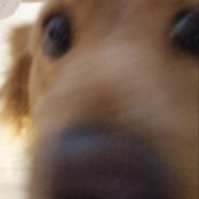 Susi