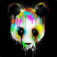 Exotic Panda avatar