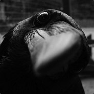 Профиль игрока Rav3N