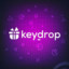 KeyDrppR.I.P