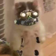 张三李四之瞎子传奇寻找眼珠子