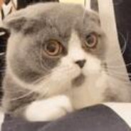 普信妈宝男's Avatar