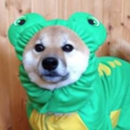 frogdog's Avatar