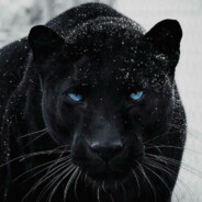 Glucosa-6-Fosfato Deshidrogenasa