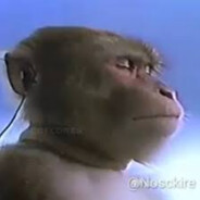 oney absolute