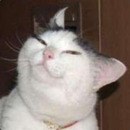 Mecenas