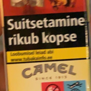 Kollane Kaamel 's avatar