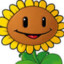 shysunflower