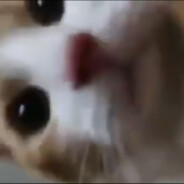Ülker