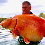 Never Played TES I Just Fish