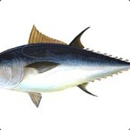 Tuna Matata
