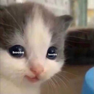 .uwuKitty