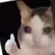 Malejj