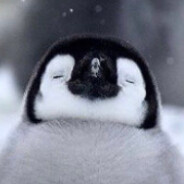 PtitPingouin's Avatar