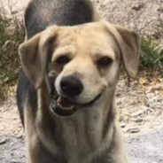 LA CONCHA DE TU MADRE