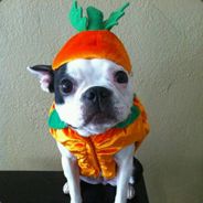 cuddlebearpotato - steam id 76561197961380065