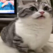 https://avatars.akamai.steamstatic.com/af9583806ff1ca14656b54eae895eb2111976b64_full.jpg