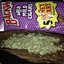 Backwoods