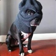 >!3!o_ZeeRert[TH]