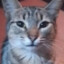 leks