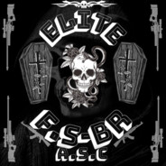 FS.BR-CzACSGOSKINS