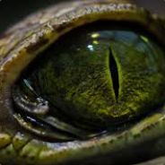 SnakeEyes