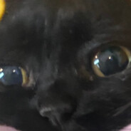 water bottle eater eater