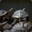 Group Avatar