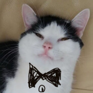 hiroptical казнил