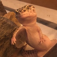 Guguzera