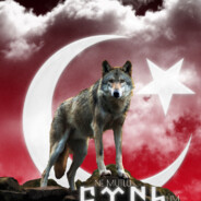 Reis01