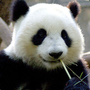 爱如风过