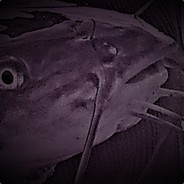 PurpMage's Avatar